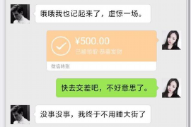 岢岚为什么选择专业追讨公司来处理您的债务纠纷？